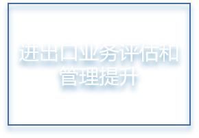 进出口业务评估和管理提升