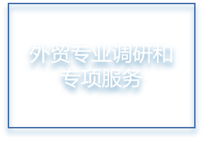 外贸专业调研和专项服务